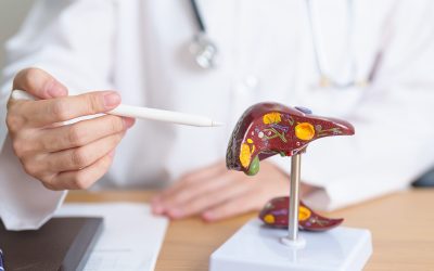 doctor with liver